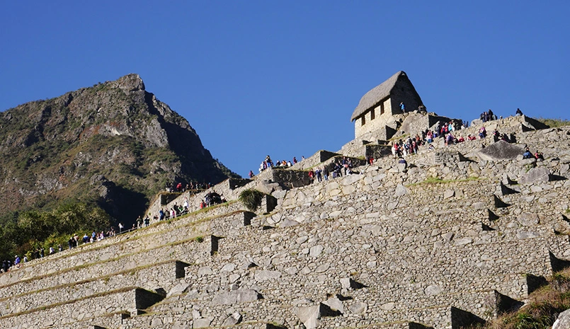 machu picchu terraces