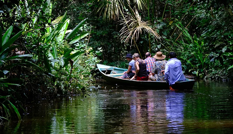 tambopata