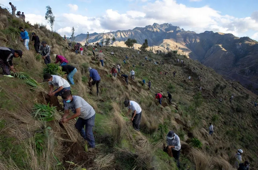 People | Kcusco tour